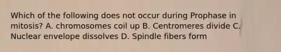 Which of the following does not occur during Prophase in mitosis? A. chromosomes coil up B. Centromeres divide C. Nuclear envelope dissolves D. Spindle fibers form