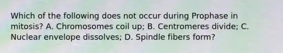 Which of the following does not occur during Prophase in mitosis? A. Chromosomes coil up; B. Centromeres divide; C. Nuclear envelope dissolves; D. Spindle fibers form?