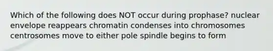 Which of the following does NOT occur during prophase? nuclear envelope reappears chromatin condenses into chromosomes centrosomes move to either pole spindle begins to form