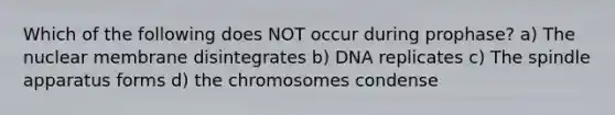 Which of the following does NOT occur during prophase? a) The nuclear membrane disintegrates b) DNA replicates c) The spindle apparatus forms d) the chromosomes condense