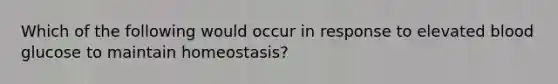 Which of the following would occur in response to elevated blood glucose to maintain homeostasis?