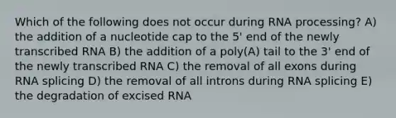 Which of the following does not occur during RNA processing? A) the addition of a nucleotide cap to the 5' end of the newly transcribed RNA B) the addition of a poly(A) tail to the 3' end of the newly transcribed RNA C) the removal of all exons during RNA splicing D) the removal of all introns during RNA splicing E) the degradation of excised RNA