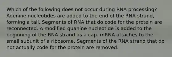 Which of the following does not occur during RNA processing? Adenine nucleotides are added to the end of the RNA strand, forming a tail. Segments of RNA that do code for the protein are reconnected. A modified guanine nucleotide is added to the beginning of the RNA strand as a cap. mRNA attaches to the small subunit of a ribosome. Segments of the RNA strand that do not actually code for the protein are removed.