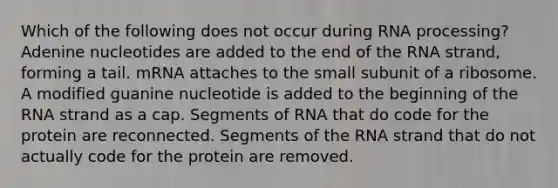 Which of the following does not occur during <a href='https://www.questionai.com/knowledge/kapY3KpASG-rna-processing' class='anchor-knowledge'>rna processing</a>? Adenine nucleotides are added to the end of the RNA strand, forming a tail. mRNA attaches to the small subunit of a ribosome. A modified guanine nucleotide is added to the beginning of the RNA strand as a cap. Segments of RNA that do code for the protein are reconnected. Segments of the RNA strand that do not actually code for the protein are removed.