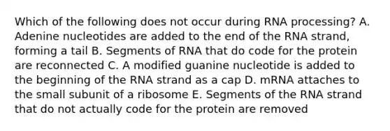 Which of the following does not occur during RNA processing? A. Adenine nucleotides are added to the end of the RNA strand, forming a tail B. Segments of RNA that do code for the protein are reconnected C. A modified guanine nucleotide is added to the beginning of the RNA strand as a cap D. mRNA attaches to the small subunit of a ribosome E. Segments of the RNA strand that do not actually code for the protein are removed