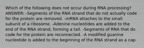 Which of the following does not occur during <a href='https://www.questionai.com/knowledge/kapY3KpASG-rna-processing' class='anchor-knowledge'>rna processing</a>? ANSWER: -Segments of the RNA strand that do not actually code for the protein are removed. -mRNA attaches to the small subunit of a ribosome. -Adenine nucleotides are added to the end of the RNA strand, forming a tail. -Segments of RNA that do code for the protein are reconnected. -A modified guanine nucleotide is added to the beginning of the RNA strand as a cap.