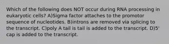 Which of the following does NOT occur during RNA processing in eukaryotic cells? A)Sigma factor attaches to the promotor sequence of nucleotides. B)introns are removed via splicing to the transcript. C)poly A tail is tail is added to the transcript. D)5' cap is added to the transcript.