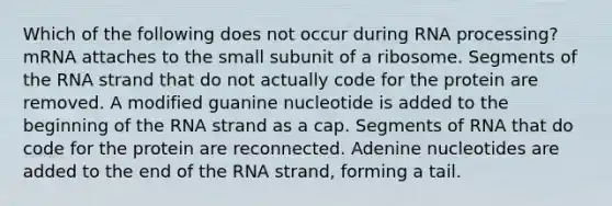 Which of the following does not occur during <a href='https://www.questionai.com/knowledge/kapY3KpASG-rna-processing' class='anchor-knowledge'>rna processing</a>? mRNA attaches to the small subunit of a ribosome. Segments of the RNA strand that do not actually code for the protein are removed. A modified guanine nucleotide is added to the beginning of the RNA strand as a cap. Segments of RNA that do code for the protein are reconnected. Adenine nucleotides are added to the end of the RNA strand, forming a tail.