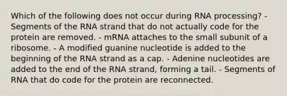 Which of the following does not occur during <a href='https://www.questionai.com/knowledge/kapY3KpASG-rna-processing' class='anchor-knowledge'>rna processing</a>? - Segments of the RNA strand that do not actually code for the protein are removed. - mRNA attaches to the small subunit of a ribosome. - A modified guanine nucleotide is added to the beginning of the RNA strand as a cap. - Adenine nucleotides are added to the end of the RNA strand, forming a tail. - Segments of RNA that do code for the protein are reconnected.