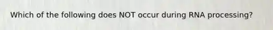 Which of the following does NOT occur during RNA processing?