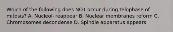 Which of the following does NOT occur during telophase of mitosis? A. Nucleoli reappear B. Nuclear membranes reform C. Chromosomes decondense D. Spindle apparatus appears