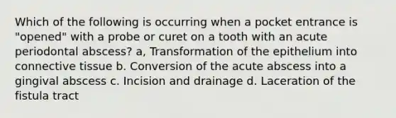 Which of the following is occurring when a pocket entrance is "opened" with a probe or curet on a tooth with an acute periodontal abscess? a, Transformation of the epithelium into connective tissue b. Conversion of the acute abscess into a gingival abscess c. Incision and drainage d. Laceration of the fistula tract