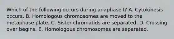 Which of the following occurs during anaphase I? A. Cytokinesis occurs. B. Homologous chromosomes are moved to the metaphase plate. C. Sister chromatids are separated. D. Crossing over begins. E. Homologous chromosomes are separated.