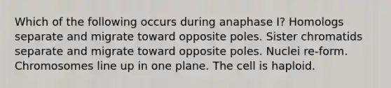 Which of the following occurs during anaphase I? Homologs separate and migrate toward opposite poles. Sister chromatids separate and migrate toward opposite poles. Nuclei re-form. Chromosomes line up in one plane. The cell is haploid.