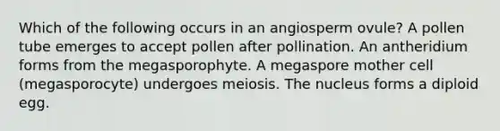 Which of the following occurs in an angiosperm ovule? A pollen tube emerges to accept pollen after pollination. An antheridium forms from the megasporophyte. A megaspore mother cell (megasporocyte) undergoes meiosis. The nucleus forms a diploid egg.