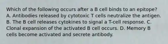 Which of the following occurs after a B cell binds to an epitope? A. Antibodies released by cytotoxic T cells neutralize the antigen. B. The B cell releases cytokines to signal a T-cell response. C. Clonal expansion of the activated B cell occurs. D. Memory B cells become activated and secrete antibody.