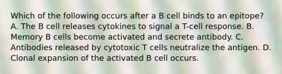 Which of the following occurs after a B cell binds to an epitope? A. The B cell releases cytokines to signal a T-cell response. B. Memory B cells become activated and secrete antibody. C. Antibodies released by cytotoxic T cells neutralize the antigen. D. Clonal expansion of the activated B cell occurs.