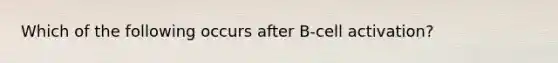 Which of the following occurs after B-cell activation?