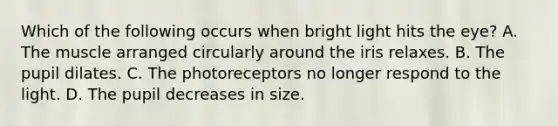 Which of the following occurs when bright light hits the eye? A. The muscle arranged circularly around the iris relaxes. B. The pupil dilates. C. The photoreceptors no longer respond to the light. D. The pupil decreases in size.