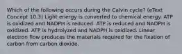 Which of the following occurs during the Calvin cycle? (eText Concept 10.3) Light energy is converted to chemical energy. ATP is oxidized and NADPH is reduced. ATP is reduced and NADPH is oxidized. ATP is hydrolyzed and NADPH is oxidized. Linear electron flow produces the materials required for the fixation of carbon from carbon dioxide.