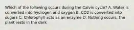 Which of the following occurs during the Calvin cycle? A. Water is converted into hydrogen and oxygen B. CO2 is converted into sugars C. Chlorophyll acts as an enzyme D. Nothing occurs; the plant rests in the dark