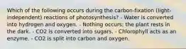 Which of the following occurs during the carbon-fixation (light-independent) reactions of photosynthesis? - Water is converted into hydrogen and oxygen. - Nothing occurs; the plant rests in the dark. - CO2 is converted into sugars. - Chlorophyll acts as an enzyme. - CO2 is split into carbon and oxygen.