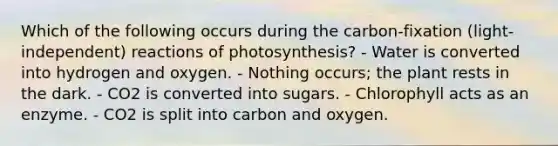 Which of the following occurs during the carbon-fixation (light-independent) reactions of photosynthesis? - Water is converted into hydrogen and oxygen. - Nothing occurs; the plant rests in the dark. - CO2 is converted into sugars. - Chlorophyll acts as an enzyme. - CO2 is split into carbon and oxygen.