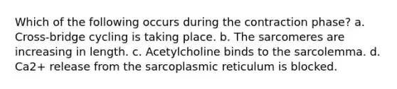 Which of the following occurs during the contraction phase? a. Cross-bridge cycling is taking place. b. The sarcomeres are increasing in length. c. Acetylcholine binds to the sarcolemma. d. Ca2+ release from the sarcoplasmic reticulum is blocked.