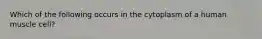 Which of the following occurs in the cytoplasm of a human muscle cell?