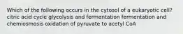 Which of the following occurs in the cytosol of a eukaryotic cell? citric acid cycle glycolysis and fermentation fermentation and chemiosmosis oxidation of pyruvate to acetyl CoA