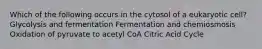 Which of the following occurs in the cytosol of a eukaryotic cell? Glycolysis and fermentation Fermentation and chemiosmosis Oxidation of pyruvate to acetyl CoA Citric Acid Cycle