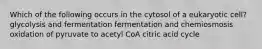 Which of the following occurs in the cytosol of a eukaryotic cell? glycolysis and fermentation fermentation and chemiosmosis oxidation of pyruvate to acetyl CoA citric acid cycle