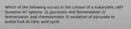 Which of the following occurs in the cytosol of a eukaryotic cell? Question 47 options: 1) glycolysis and fermentation 2) fermentation and chemiosmosis 3) oxidation of pyruvate to acetyl CoA 4) citric acid cycle