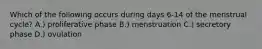 Which of the following occurs during days 6-14 of the menstrual cycle? A.) proliferative phase B.) menstruation C.) secretory phase D.) ovulation