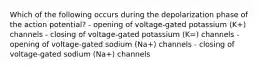 Which of the following occurs during the depolarization phase of the action potential? - opening of voltage-gated potassium (K+) channels - closing of voltage-gated potassium (K=) channels - opening of voltage-gated sodium (Na+) channels - closing of voltage-gated sodium (Na+) channels