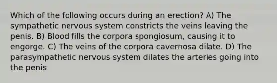 Which of the following occurs during an erection? A) The sympathetic nervous system constricts the veins leaving the penis. B) Blood fills the corpora spongiosum, causing it to engorge. C) The veins of the corpora cavernosa dilate. D) The parasympathetic nervous system dilates the arteries going into the penis