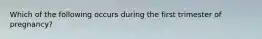 Which of the following occurs during the first trimester of pregnancy?