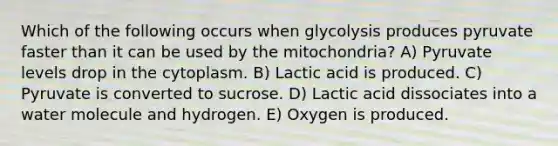 Which of the following occurs when glycolysis produces pyruvate faster than it can be used by the mitochondria? A) Pyruvate levels drop in the cytoplasm. B) Lactic acid is produced. C) Pyruvate is converted to sucrose. D) Lactic acid dissociates into a water molecule and hydrogen. E) Oxygen is produced.