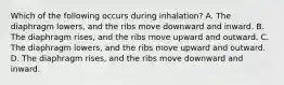 Which of the following occurs during​ inhalation? A. The diaphragm​ lowers, and the ribs move downward and inward. B. The diaphragm​ rises, and the ribs move upward and outward. C. The diaphragm​ lowers, and the ribs move upward and outward. D. The diaphragm​ rises, and the ribs move downward and inward.