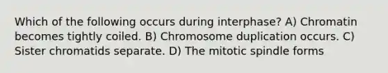 Which of the following occurs during interphase? A) Chromatin becomes tightly coiled. B) Chromosome duplication occurs. C) Sister chromatids separate. D) The mitotic spindle forms