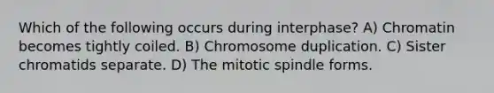 Which of the following occurs during interphase? A) Chromatin becomes tightly coiled. B) Chromosome duplication. C) Sister chromatids separate. D) The mitotic spindle forms.