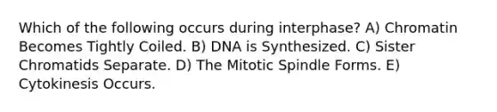 Which of the following occurs during interphase? A) Chromatin Becomes Tightly Coiled. B) DNA is Synthesized. C) Sister Chromatids Separate. D) The Mitotic Spindle Forms. E) Cytokinesis Occurs.