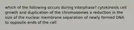 which of the following occurs during interphase? cytokinesis cell growth and duplication of the chromosomes a reduction in the size of the nuclear membrane separation of newly formed DNA to opposite ends of the cell