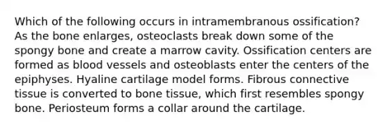 Which of the following occurs in intramembranous ossification? As the bone enlarges, osteoclasts break down some of the spongy bone and create a marrow cavity. Ossification centers are formed as blood vessels and osteoblasts enter the centers of the epiphyses. Hyaline cartilage model forms. Fibrous connective tissue is converted to bone tissue, which first resembles spongy bone. Periosteum forms a collar around the cartilage.