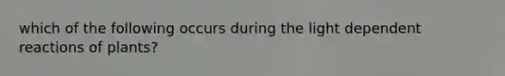 which of the following occurs during the light dependent reactions of plants?