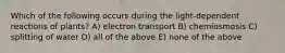 Which of the following occurs during the light-dependent reactions of plants? A) electron transport B) chemiosmosis C) splitting of water D) all of the above E) none of the above