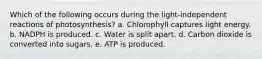 Which of the following occurs during the light-independent reactions of photosynthesis? a. Chlorophyll captures light energy. b. NADPH is produced. c. Water is split apart. d. Carbon dioxide is converted into sugars. e. ATP is produced.