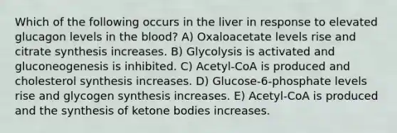 Which of the following occurs in the liver in response to elevated glucagon levels in the blood? A) Oxaloacetate levels rise and citrate synthesis increases. B) Glycolysis is activated and gluconeogenesis is inhibited. C) Acetyl-CoA is produced and cholesterol synthesis increases. D) Glucose-6-phosphate levels rise and glycogen synthesis increases. E) Acetyl-CoA is produced and the synthesis of ketone bodies increases.