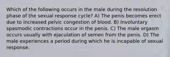 Which of the following occurs in the male during the resolution phase of the sexual response cycle? A) The penis becomes erect due to increased pelvic congestion of blood. B) Involuntary spasmodic contractions occur in the penis. C) The male orgasm occurs usually with ejaculation of semen from the penis. D) The male experiences a period during which he is incapable of sexual response.