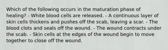 Which of the following occurs in the maturation phase of healing? - White blood cells are released. - A continuous layer of skin cells thickens and pushes off the scab, leaving a scar. - The blood clots and seals off the wound. - The wound contracts under the scab. - Skin cells at the edges of the wound begin to move together to close off the wound.